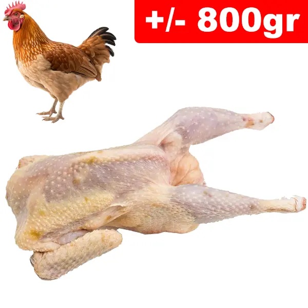 Gallina Intero +/- 800gr