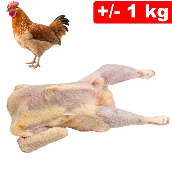 Gallina Intero +/- 1kg