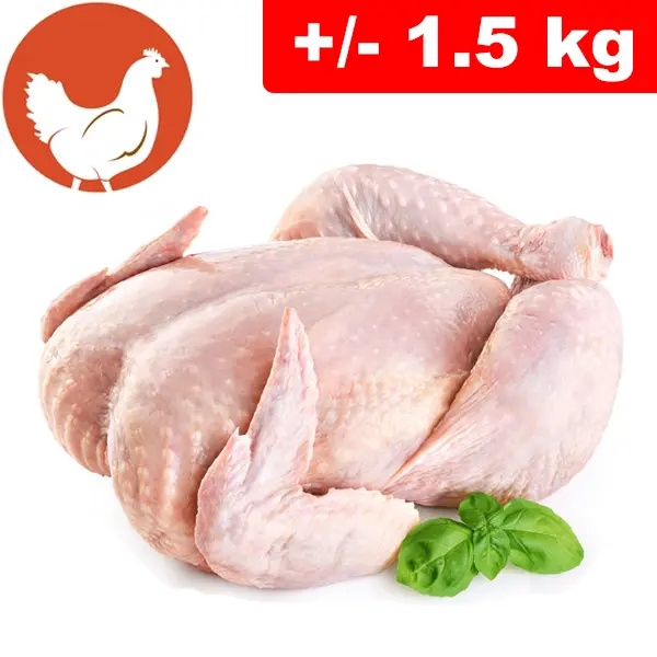 Pollo Intero +/- 1.5kg