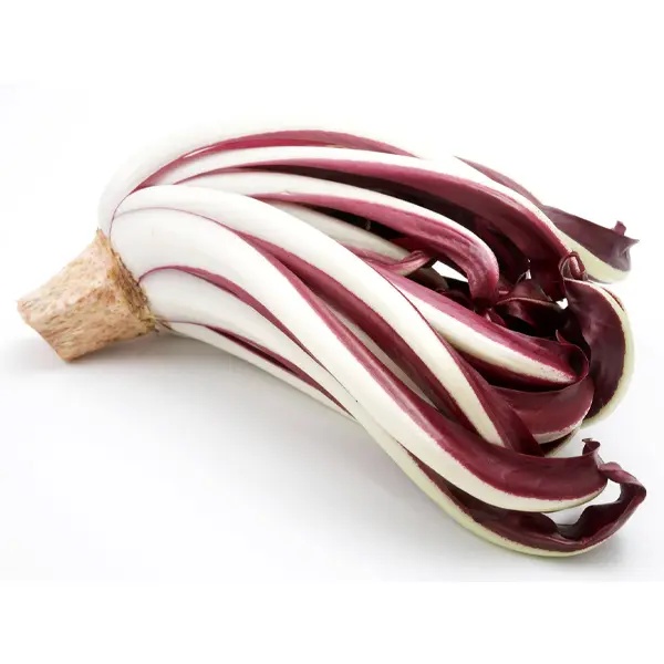 Radicchio