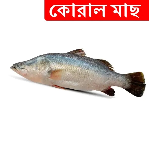 1.5kg +/- Koral Fish