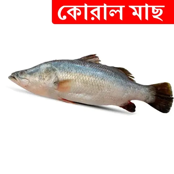 2kg +/- Koral Fish