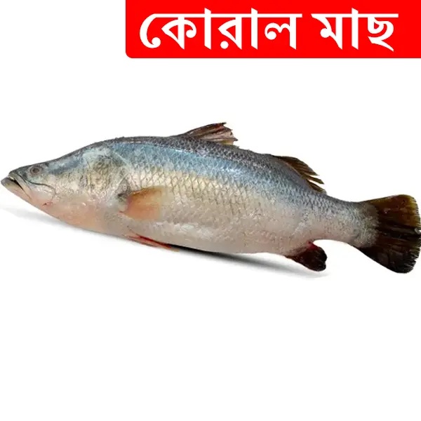 2.5kg +/- Koral Fish