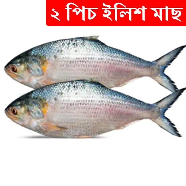 2pcs Hilsa Fish