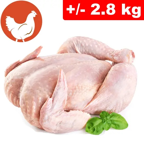 Pollo Intero +/- 2.8kg