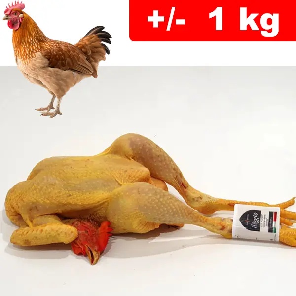 Gallina Con Testa e Zampe +/- 1kg