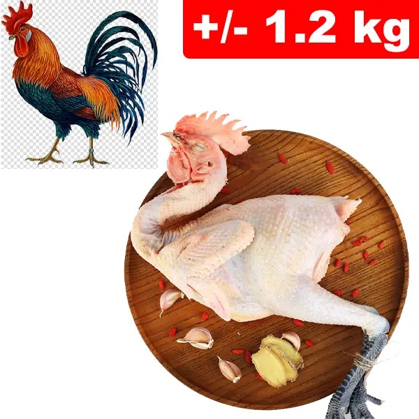 Gallo Testa e Zampe +/- 1.2kg