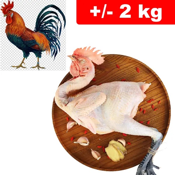 Gallo Testa e Zampe +/- 2kg