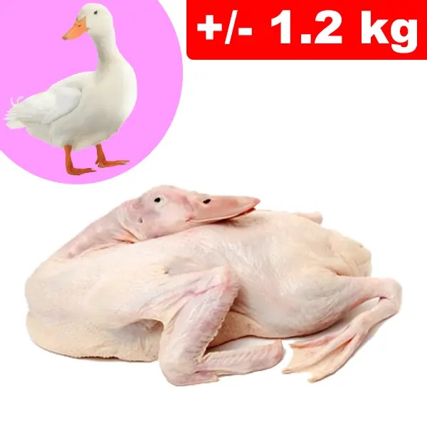 Anatra Testa e Zampe +/- 1.2kg