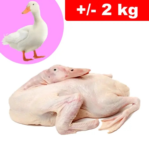 Anatra Testa e Zampe +/- 2kg