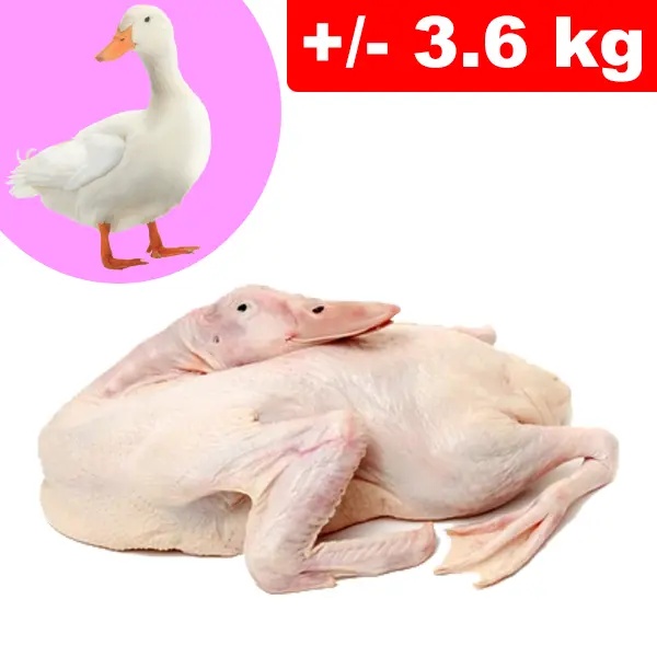 Anatra Testa e Zampe +/- 3.6kg