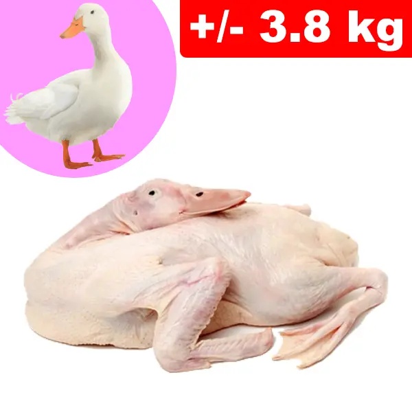 Anatra Testa e Zampe +/- 3.8kg