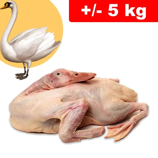 Cigno/Swan Testa e Zampe +/- 5kg