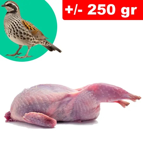 Quaglie +/- 250gr