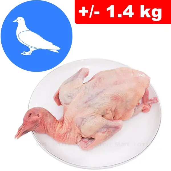 Piccioni +/- 1.4kg