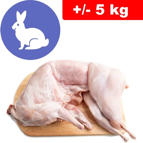 Coniglio +/- 5kg