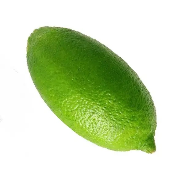 Elachi Lemon