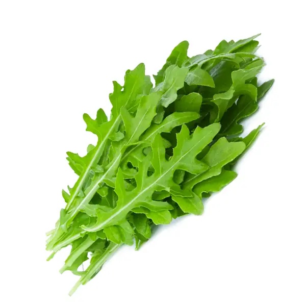 Rucola