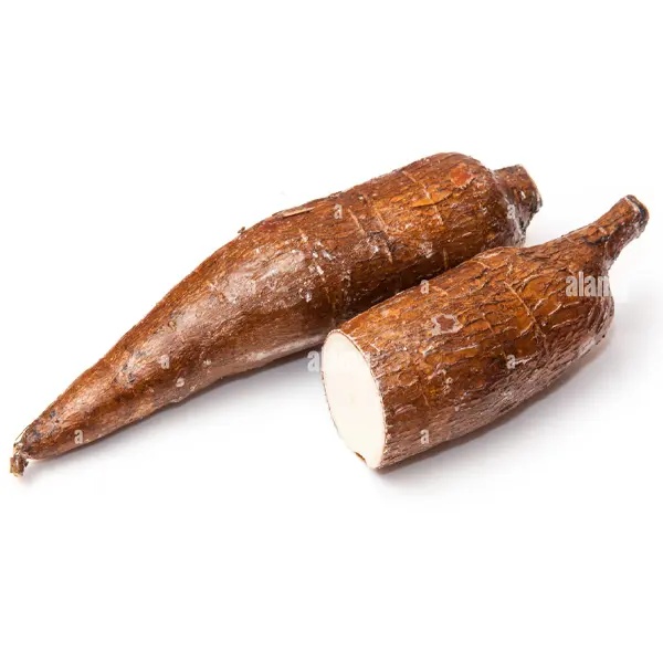 Cassava Manioca