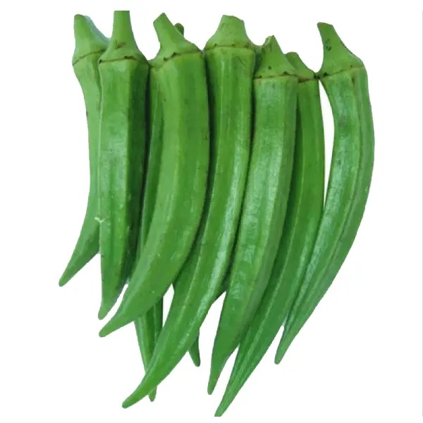 Okra Clemson India