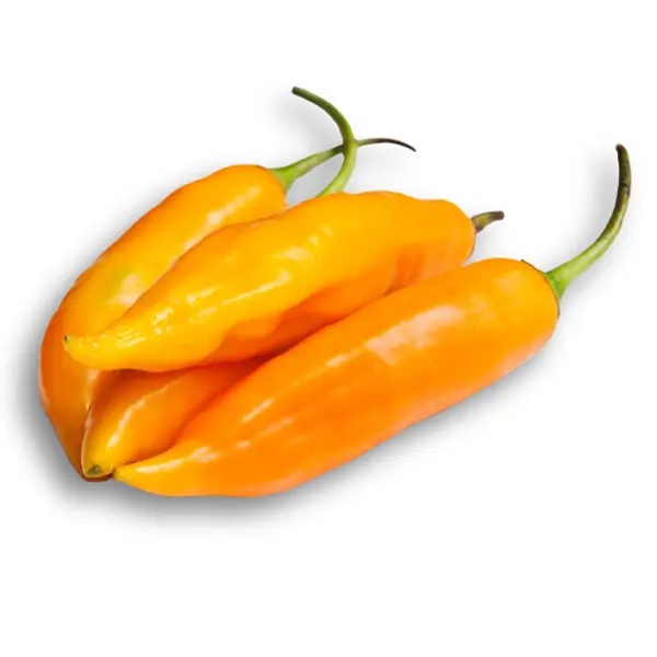 Aji Amarillo