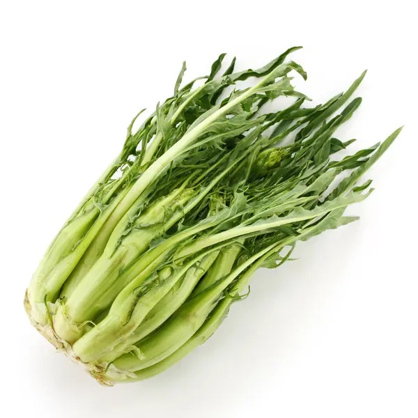 Puntarelle