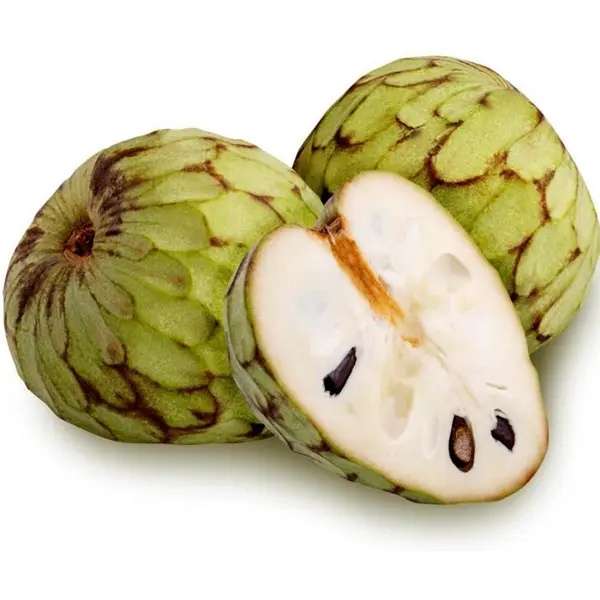 Cherimoya