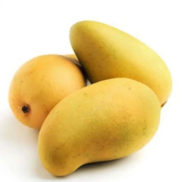 Mango Pakistan