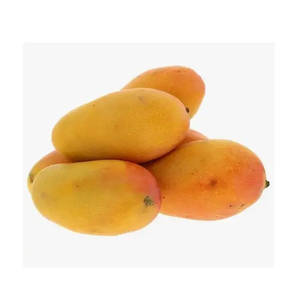 Mango Domenican