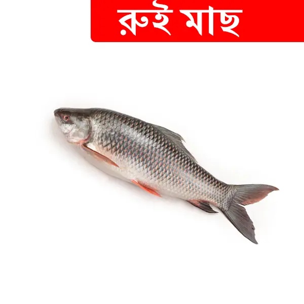 1.8kg +/- Ruhi Fish