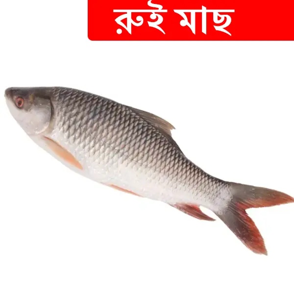 2.8kg +/- Ruhi Fish