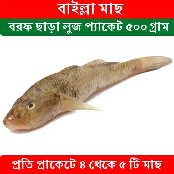 Bailla Fish 500gr Block