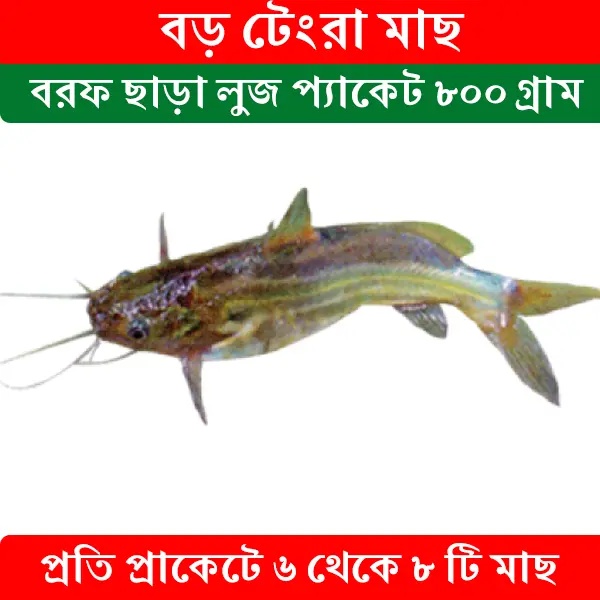 Tangra Fish 800gr Lug pack