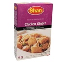 Chicken Ginger Masala Shan 100g