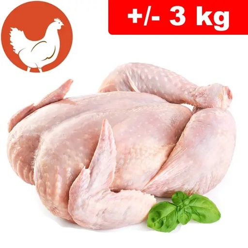 Pollo Intero +/- 3kg