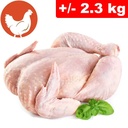 Pollo Intero +/- 2.3kg