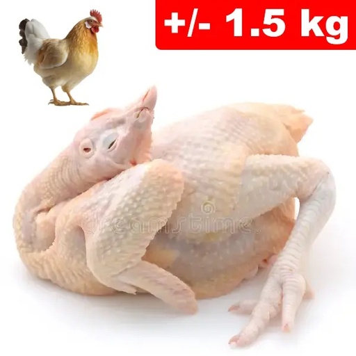 Pollo Con Testa Zampe +/- 1.5 kg