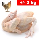 Pollo Con Testa Zampe +/- 2kg