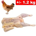 Gallina Intero +/- 1.2kg