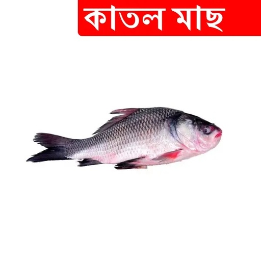 1kg +/- Katal Fish