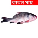 2kg +/- Katal Fish