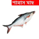 1kg +/- Pangash Fish