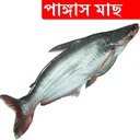 5.5kg +/- Pangash Fish