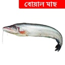 1kg +/- Boal Fish