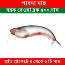 Pabda Fish 500gr Block