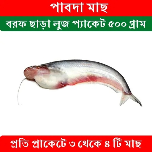 Pabda Fish 500gr Luge