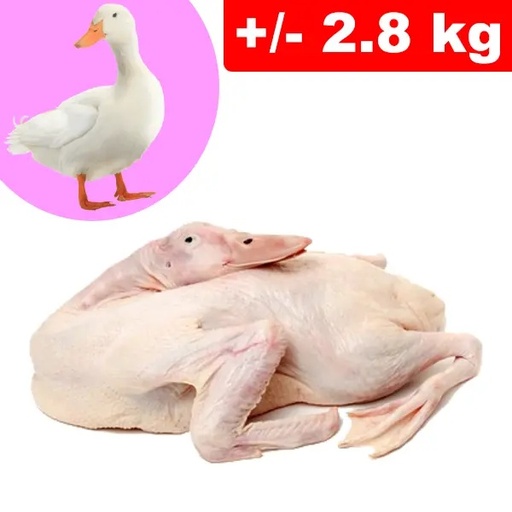 Anatra Testa e Zampe +/- 2.8kg