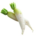 Daikon