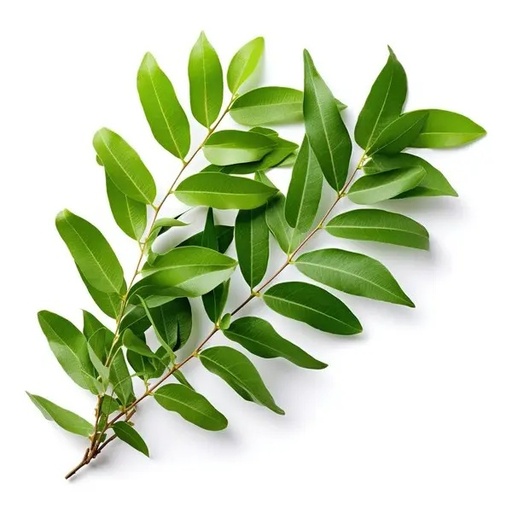 Curry Leaves