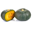 Zucca Verde